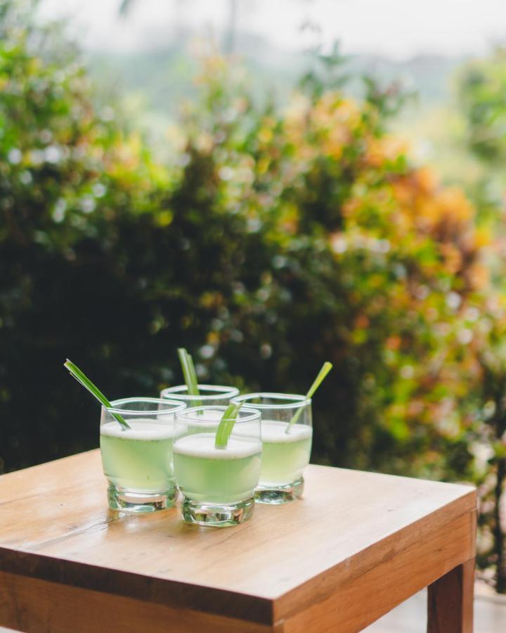 Piripe Wellness Lodge Pacto Ngoại thất bức ảnh